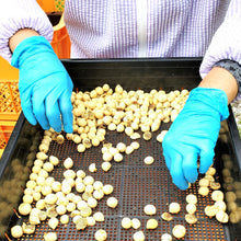 画像をギャラリービューアに読み込む, 【お一人様1点限り】 沖縄県産タマヌオイル フローラルグリーンの香り 10㎖(500円Offクーポンプレゼント)